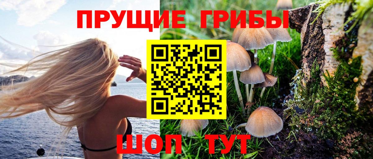 Галлюциногенные грибы прущие грибы Сальск