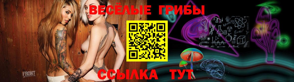 Псилоцибиновые грибы Psilocybe  Вход с VPN  Сальск  Галлюциногенные грибы ЛСД 